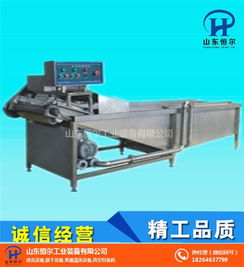 山东恒尔蔬菜清洗设备价格及选购指南